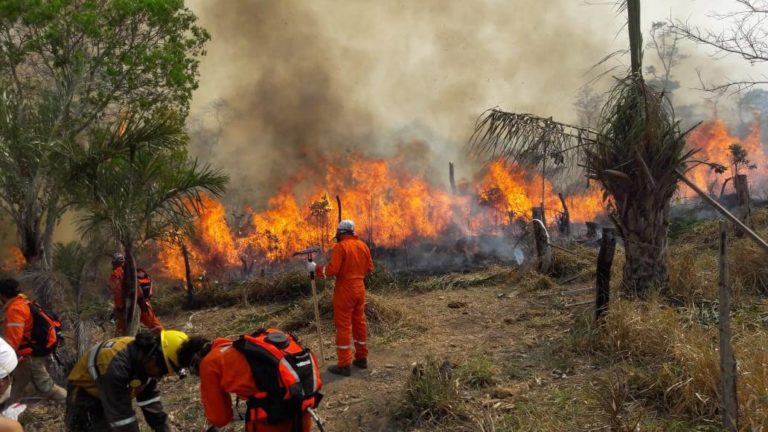 bolivia-enfrente-seis-incendios-activos-y-mil-452-focos-de-calor