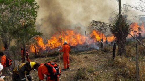 bolivia-enfrente-seis-incendios-activos-y-mil-452-focos-de-calor