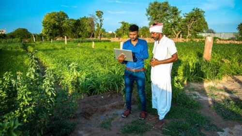 India Malasia agricultura