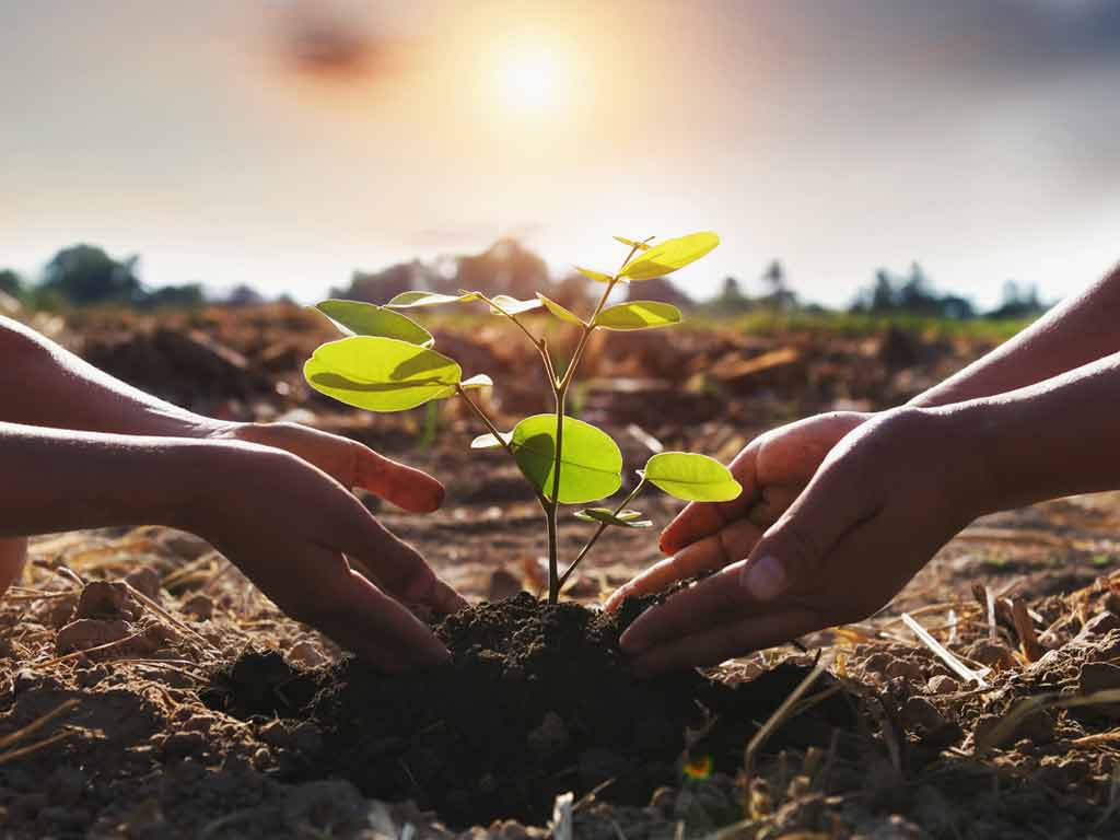 republica-del-congo-celebra-conferencia-en-favor-de-los-bosques