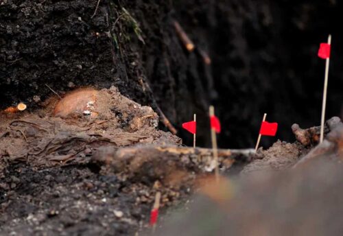 reinician-excavaciones-por-desaparecidos-en-uruguay