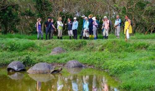 de-aniversario-parque-nacional-galapagos-paraiso-natural-en-ecuador