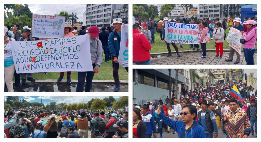 movimiento-indigena-marcha-en-ecuador-por-respeto-a-sus-territorios