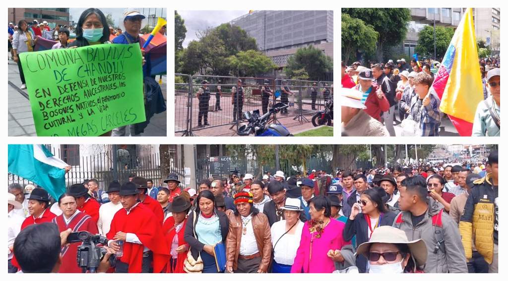 movimiento-indigena-marcha-en-ecuador-por-respeto-a-sus-territorios