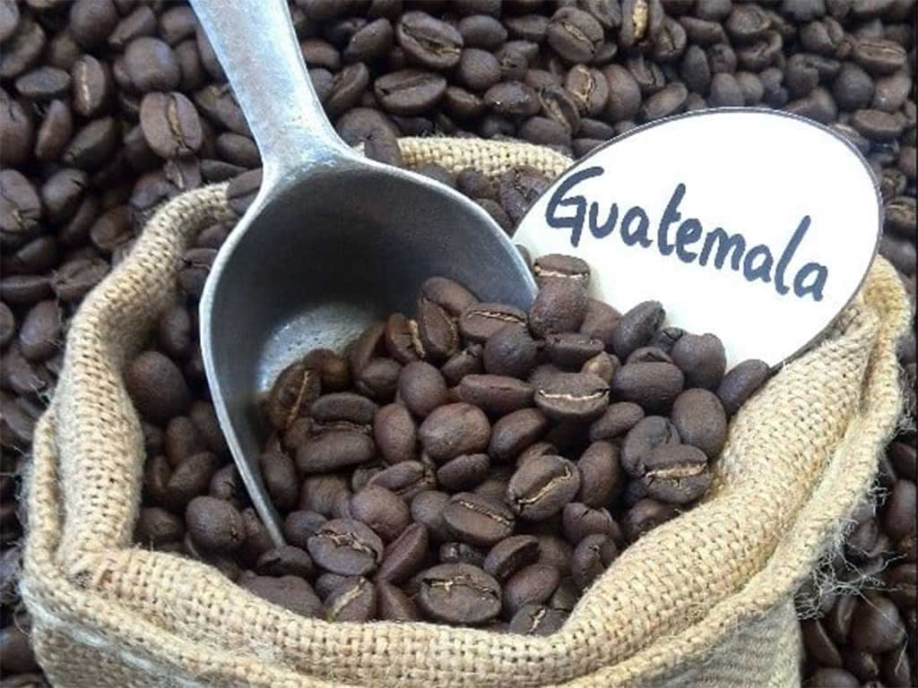 cafe-con-mayor-crecimiento-en-exportaciones-hasta-julio-en-guatemala