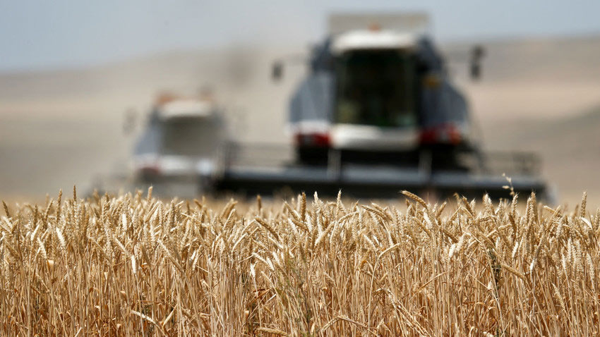 expectativas-en-bolivia-por-decisiones-sobre-biotecnologia-agricola