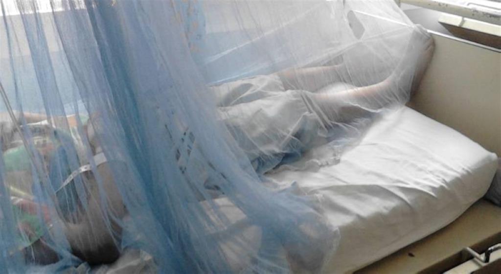 aumentan-notificaciones-de-casos-de-dengue-en-paraguay