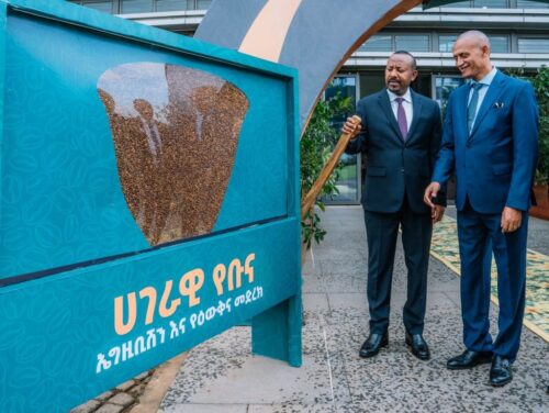 destacan-avances-significativos-del-sector-cafetalero-en-etiopia