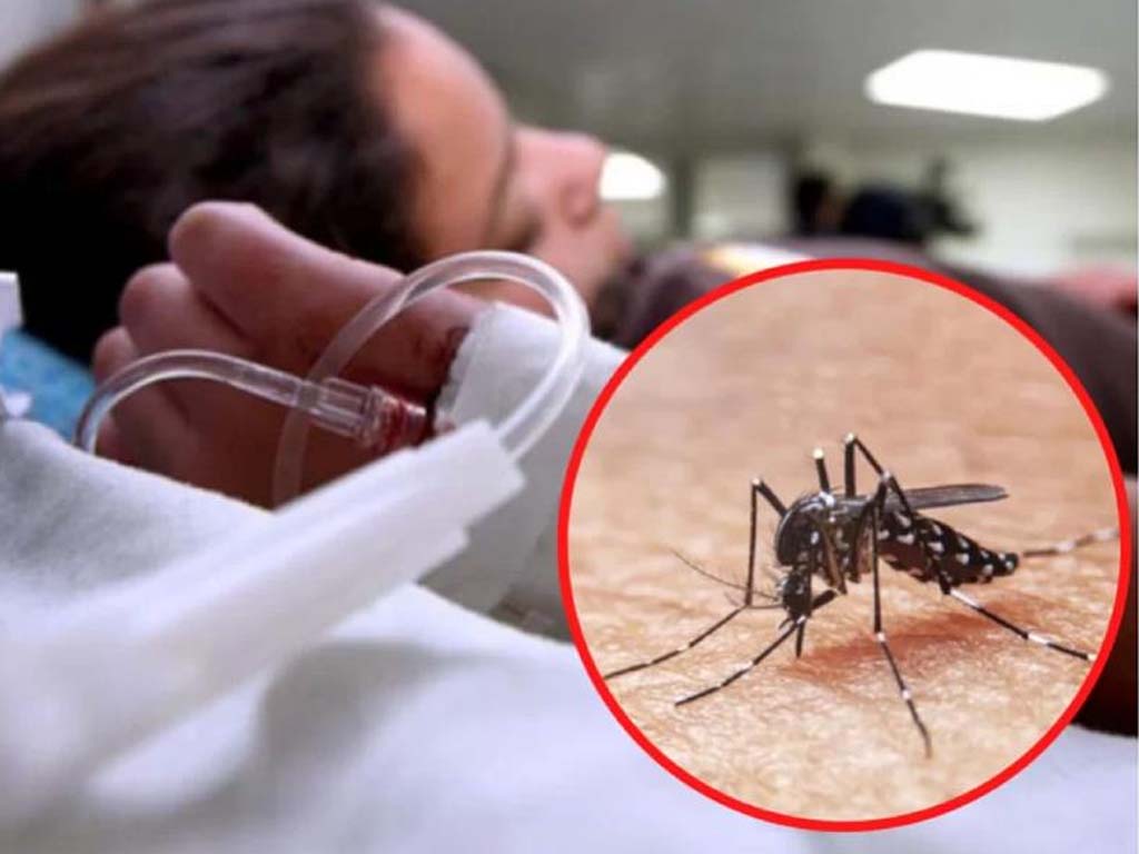 alerta-en-dominica-ante-sospecha-por-presencia-de-dengue