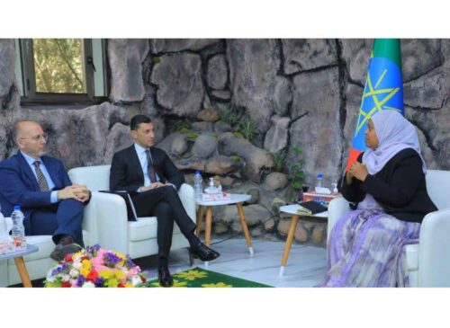 etiopia-e-italia-revisaron-acuerdo-a-favor-de-la-creacion-de-empleo