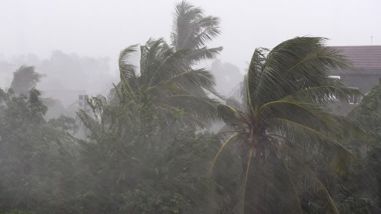 fuertes-vientos-causan-estragos-en-suroeste-de-cambodia