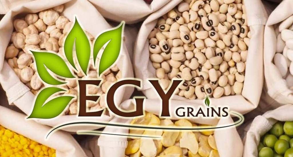 exportaciones-agricolas-egipcias-rompieron-record-en-2024