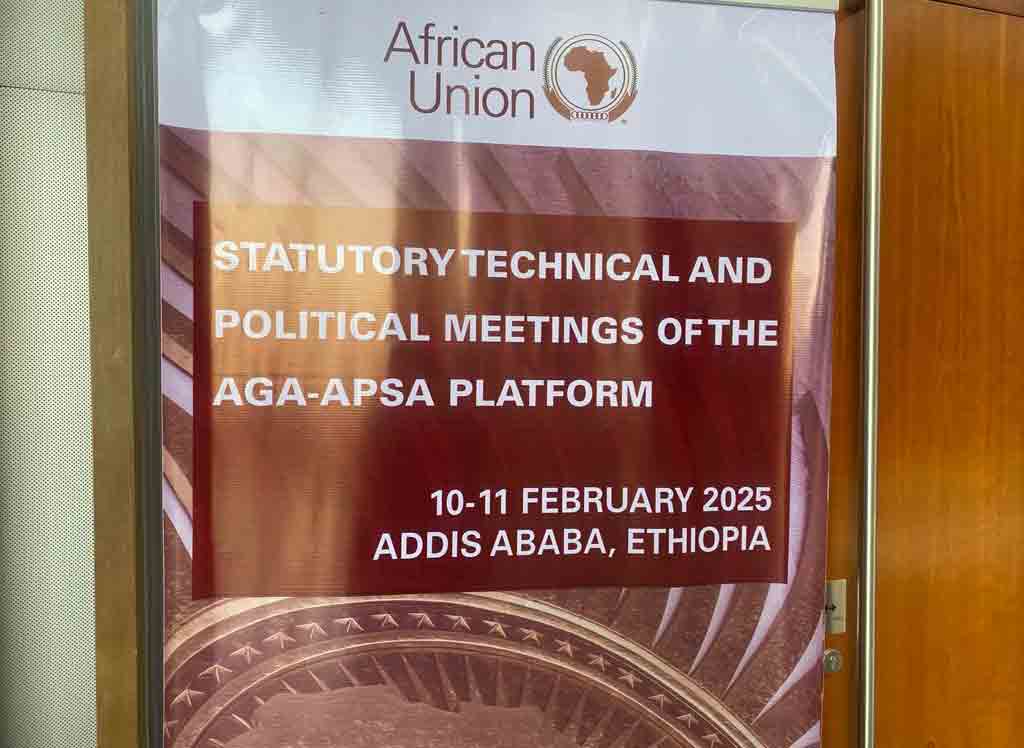 guerra-y-crisis-humanitaria-en-sudan-a-debate-en-reunion-africana