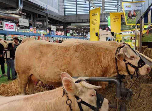 arranca-en-paris-el-salon-de-la-agricultura-con-22-paises