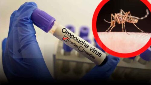 registra-uruguay-casos-importados-de-oropouche