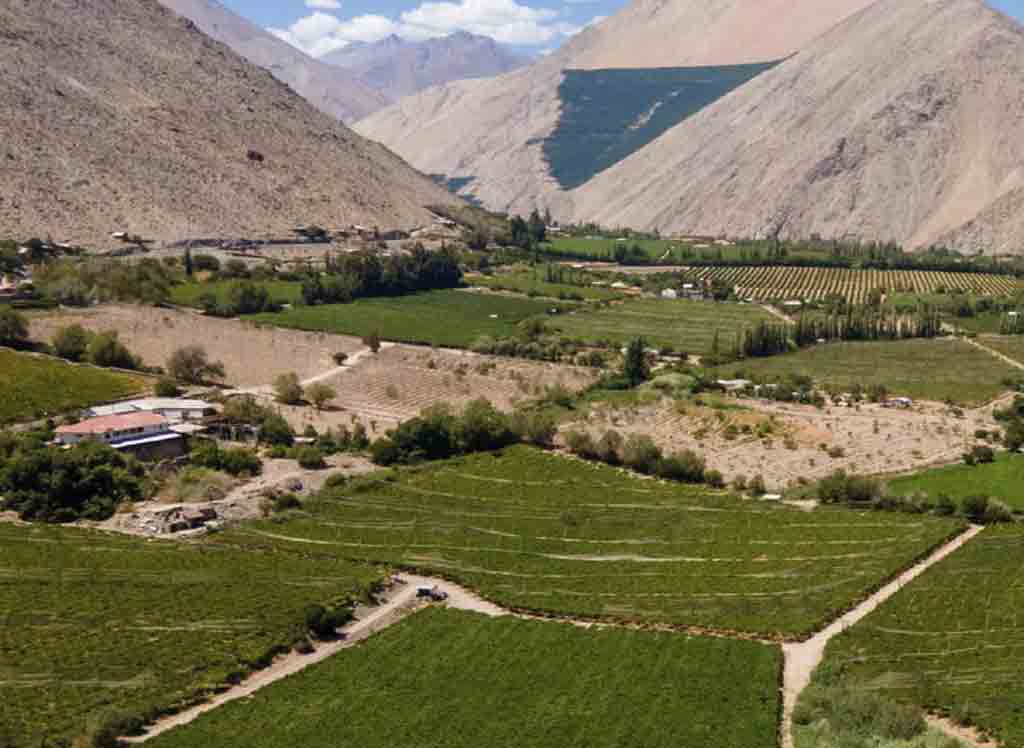 paisaje-del-pisco-chileno-aspira-a-patrimonio-mundial-de-la-unesco