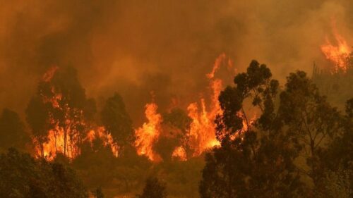 chile-registra-un-muerto-23-incendios-activos-y-record-de-calor