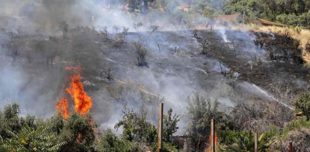 chile-registra-un-muerto-23-incendios-activos-y-record-de-calor