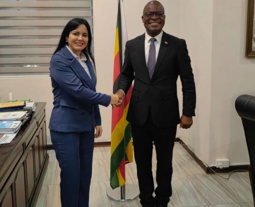 embajadora-de-cuba-presenta-copias-de-estilo-a-canciller-de-zimbabwe