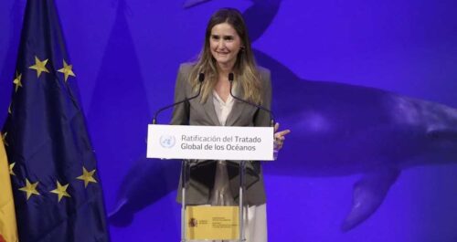 espana-ratifica-tratado-sobre-diversidad-biologica-marina