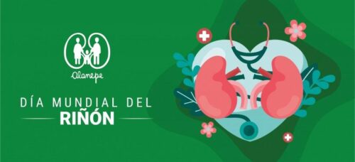 celebraran-simposio-para-promover-salud-renal-en-mexico