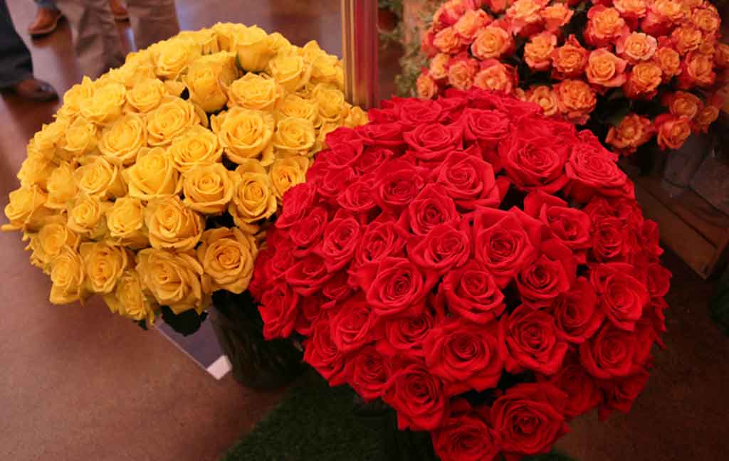 guatemala-preve-alza-del-cinco-por-ciento-en-exportaciones-de-flores