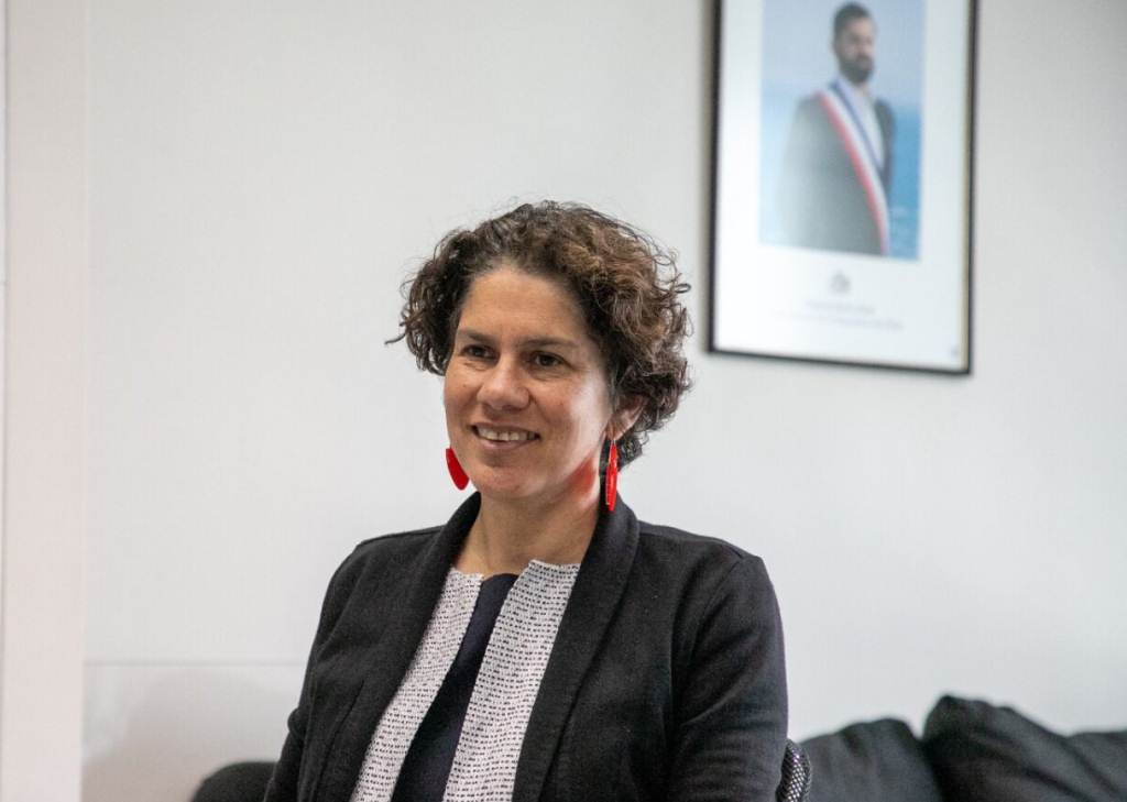 titular-chilena-de-medio-ambiente-dirigira-agencia-de-sustentabilidad