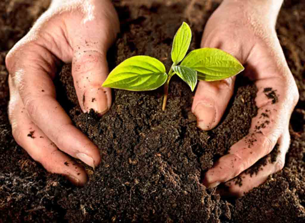 de-cuba-a-argentina-la-agroecologia-y-el-amor-por-la-naturaleza