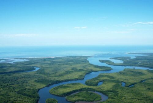 danos-a-humedales-ticos-develan-falta-de-atencion-institucional