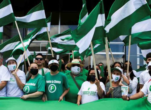 partido-tico-celebra-presencia-de-161-mil-simpatizantes-en-internas