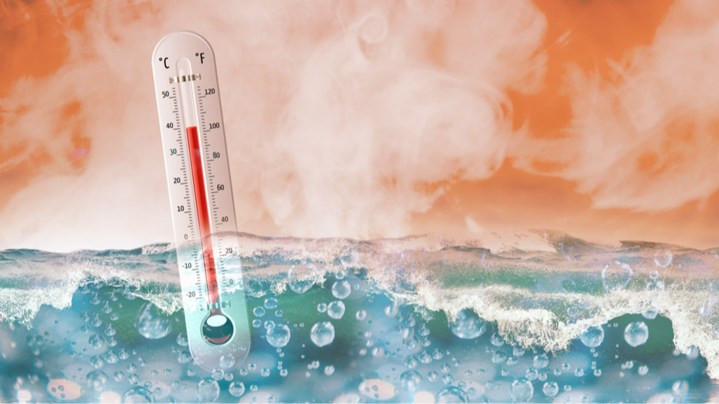 temperatura-del-mar-aumenta-con-rapidez-en-los-ultimos-40-anos
