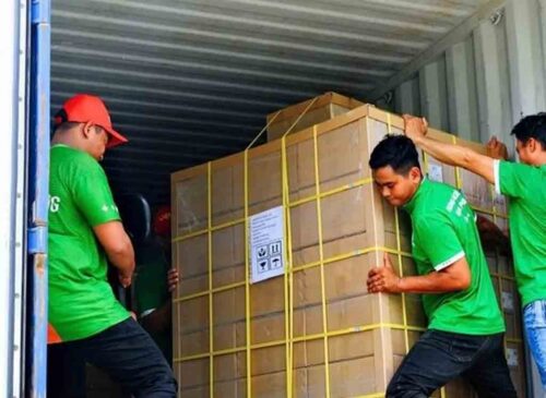 exporta-vietnam-primer-lote-de-azucar-de-coco-organico-a-eeuu