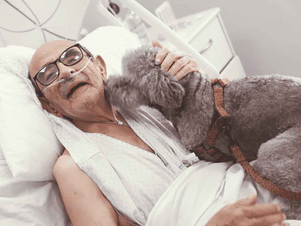 mascotas-podran-visitar-a-pacientes-en-hospital-de-chile