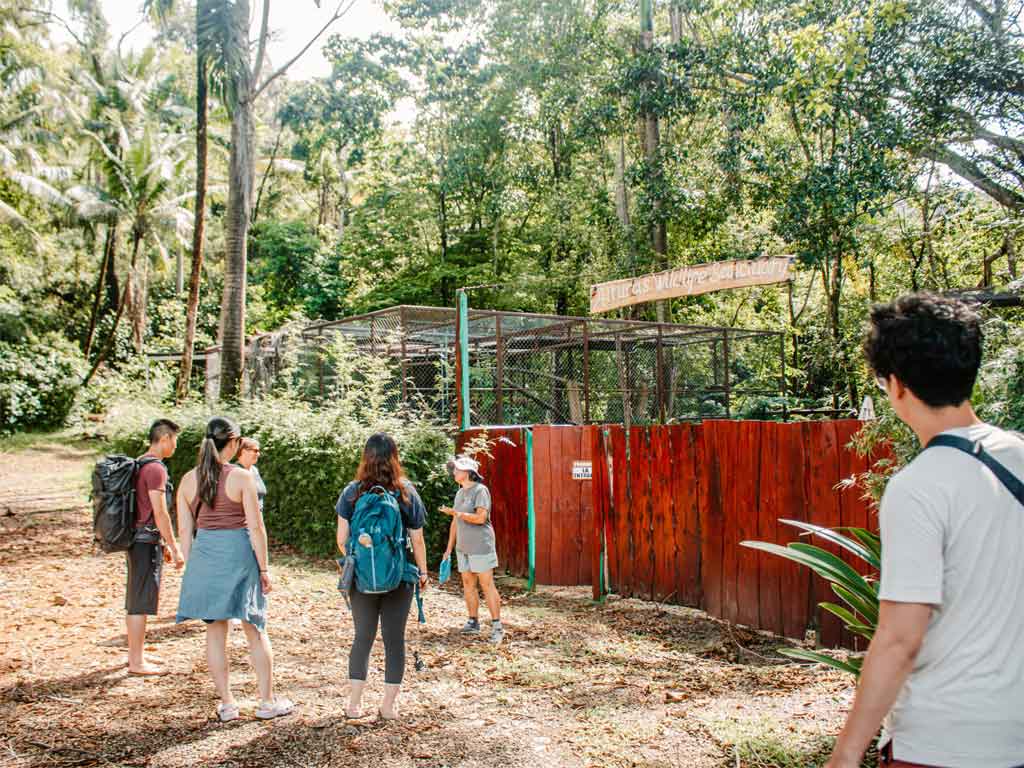 entidad-tica-rescato-tres-mil-500-animales-silvestres-desde-2014