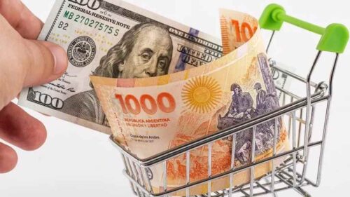 la-inflacion-que-siente-el-argentino-duplica-el-indice-del-gobierno