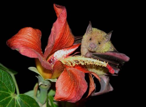 resalta-diaz-canel-diversidad-biologica-de-cuba