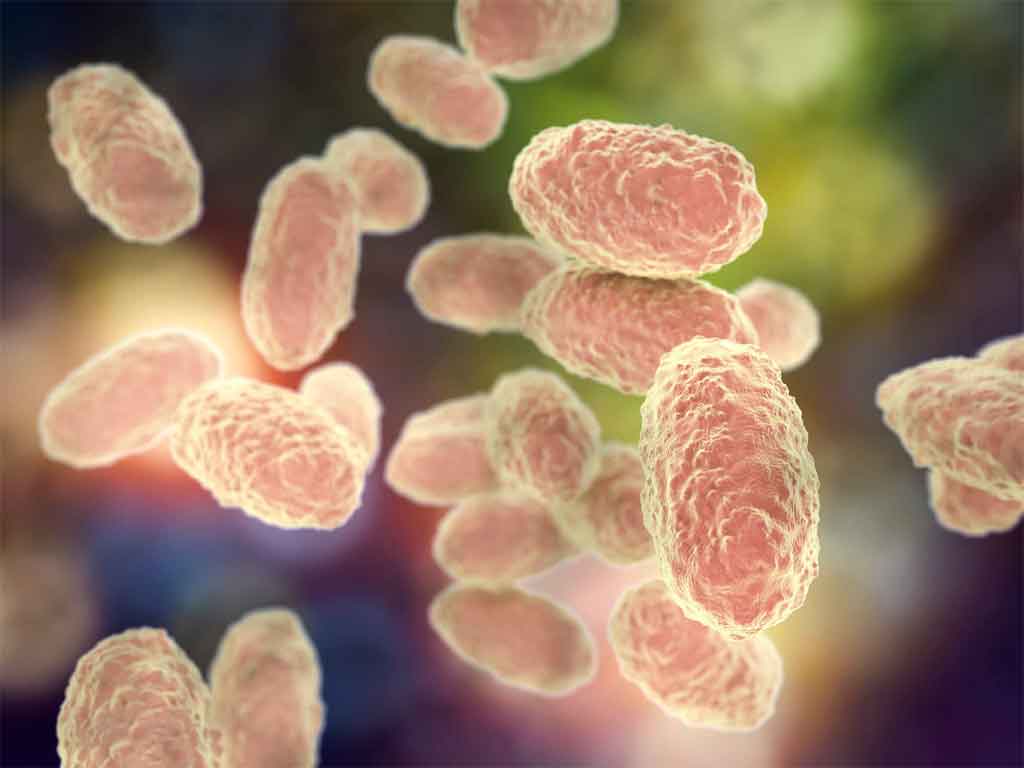 brote-de-tos-ferina-el-peor-ocurritdo-en-peru-segun-experto