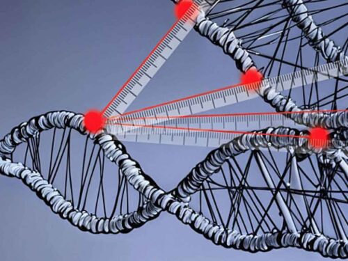 cientificos-rusos-utilizan-ia-para-rellenar-vacios-del-adn