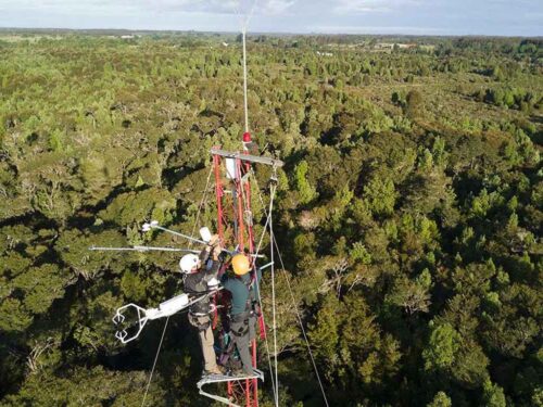 rechazo-en-chile-a-proyecto-eolico-en-zona-de-interes-ambiental