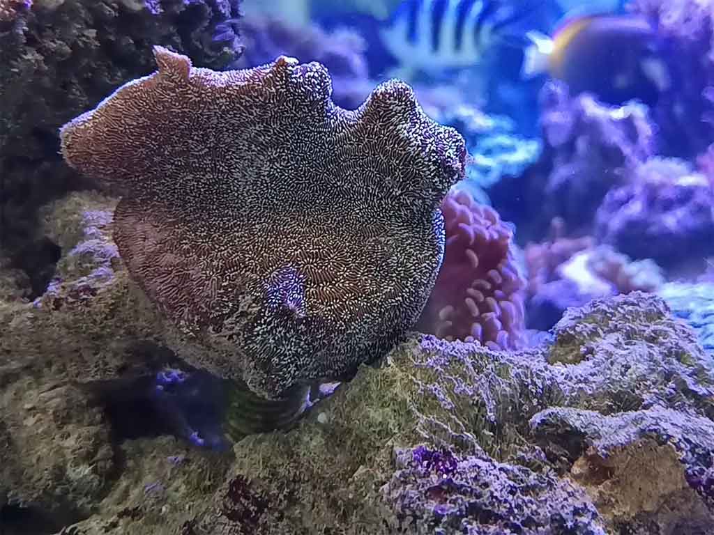 hainan-mosaico-turistico-donde-convergen-lujo-y-conservacion