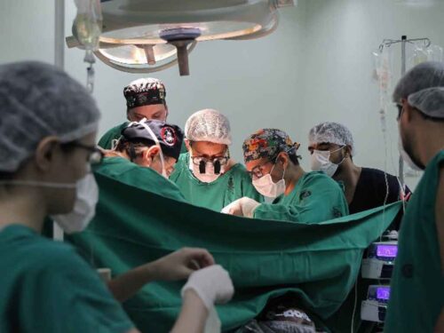 brasil-batio-marca-de-trasplantes-de-organos-en-2024