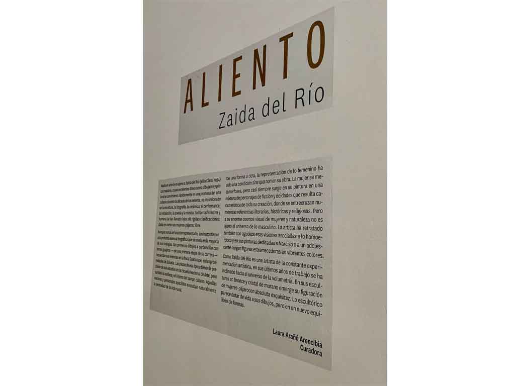 artista-cubana-zaida-del-rio-recibe-premio-maestro-de-juventudes