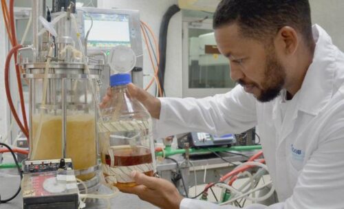 celebran-dia-internacional-de-la-biotecnologia