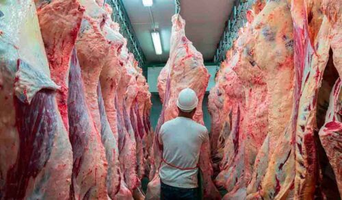 chile-suspende-importaciones-de-carne-desde-el-sur-de-argentina