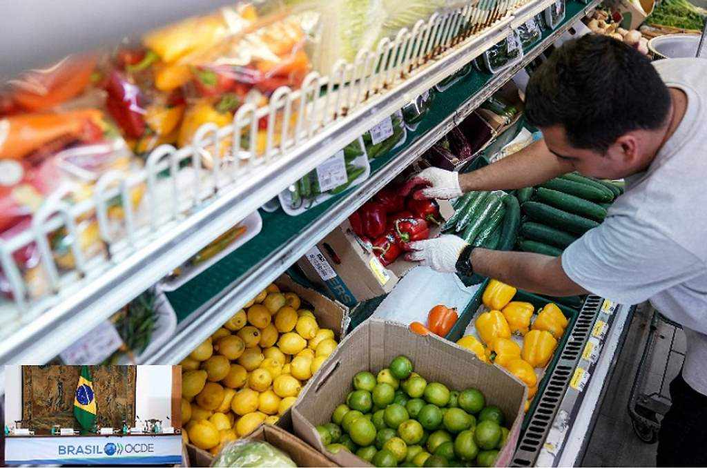 ocde-vaticina-crecimiento-del-21-por-ciento-para-brasil-en-2025