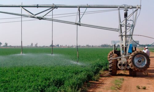 produccion-agropecuaria-en-cuba