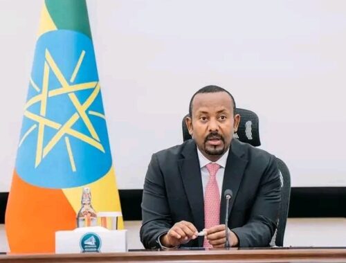 comunidad-empresarial-con-aportes-a-planes-de-desarrollo-en-etiopia