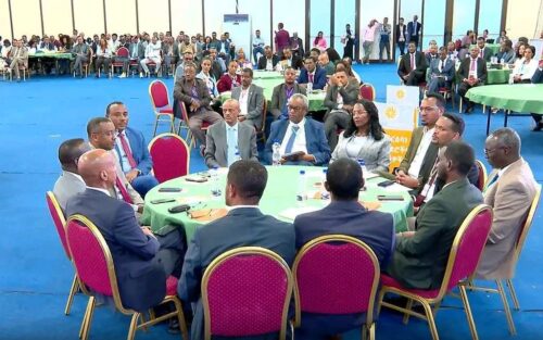 dialogo-nacional-oportunidad-historica-para-etiopia-segun-experto