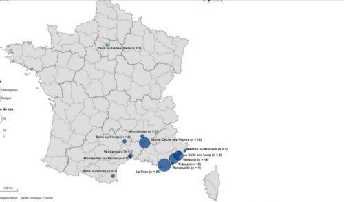 francia-metropolitana-reporta-primer-caso-autoctono-de-chikungunya