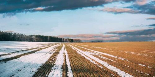 rusia-mantiene-consultas-con-onu-sobre-exportaciones-agricolas